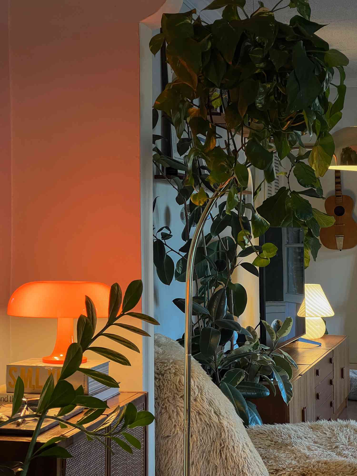 plants