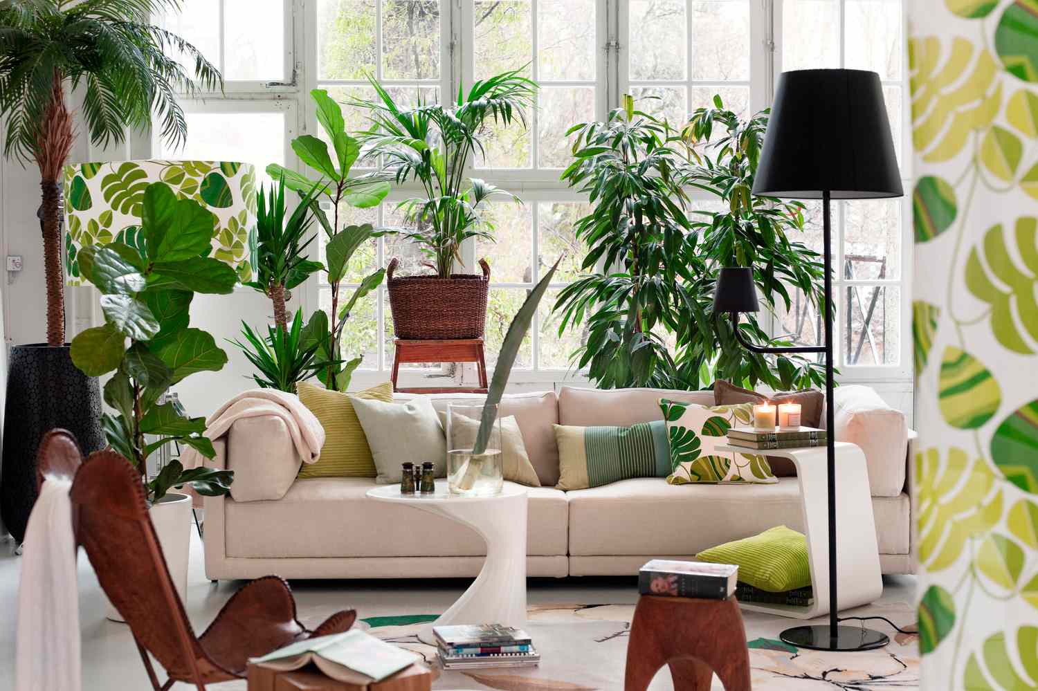 plant-filled colorful interior